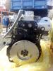 Hyundai D4DB    -