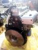 Hyundai D4DD    -