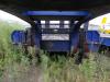 KoreaTrailer    50  2011
